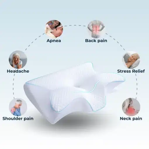 Ornatera Pillow 1